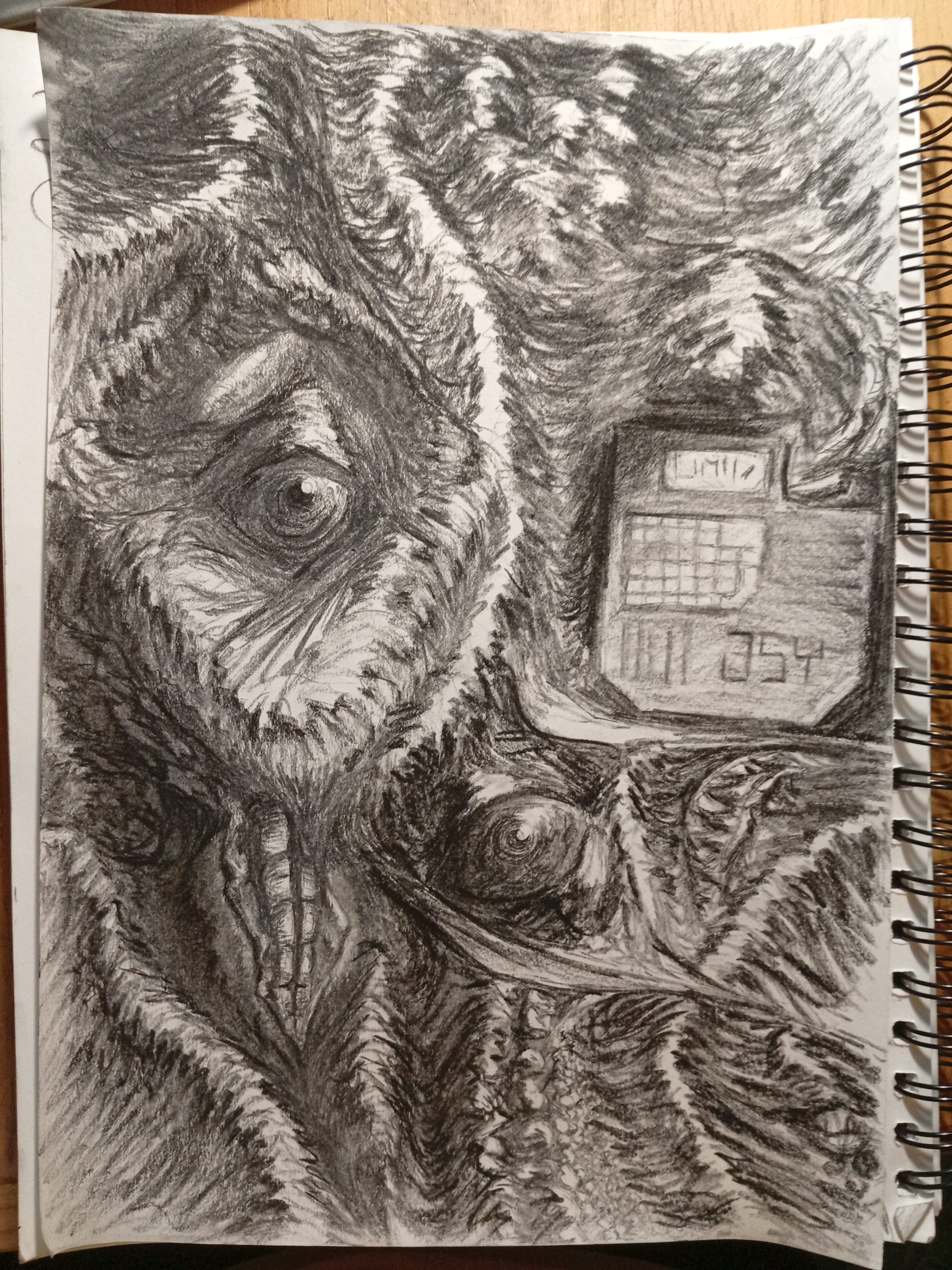 Imajen en resolu&rsquo;zion plena